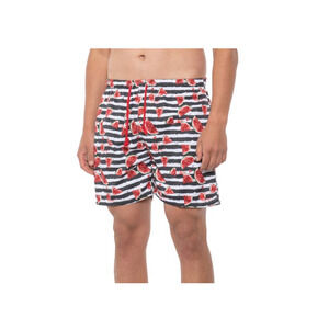 Ingear Men Watermelon Print Swim Trunks Multicolor Size XL 2955